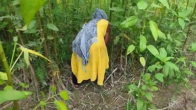 I had gone to cut grass, my brother-in-law fucked me in the field, he fucked me firm wearing salwar suit